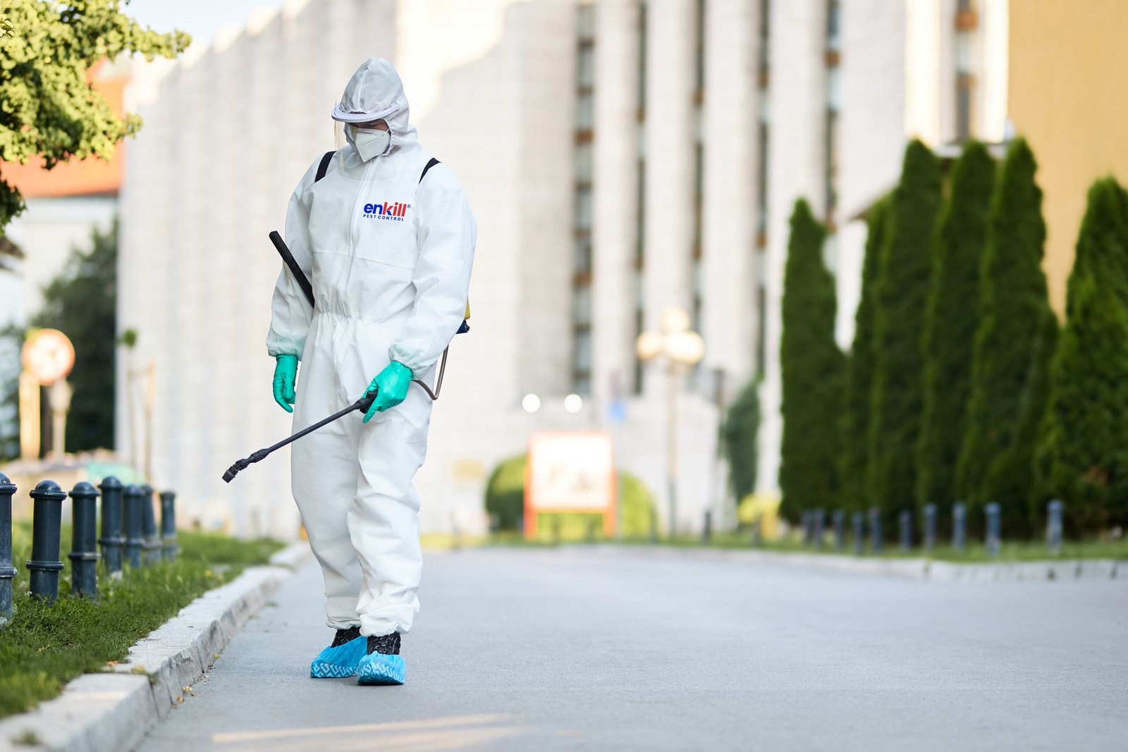 Pest Control Doha